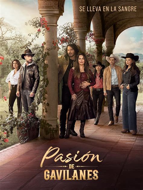 pasion lalin|Pasión (TV series)